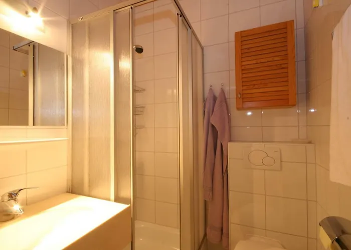 Apartment Bea Schladming